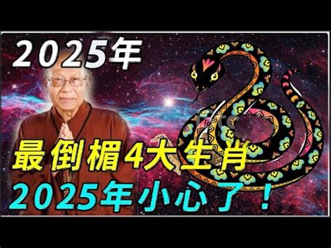 2025年是什麼年|2025是民國幾年？2025是什麼生肖？2025幾歲？